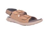 TAN(CAMEL)